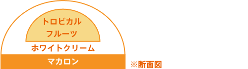 断面図