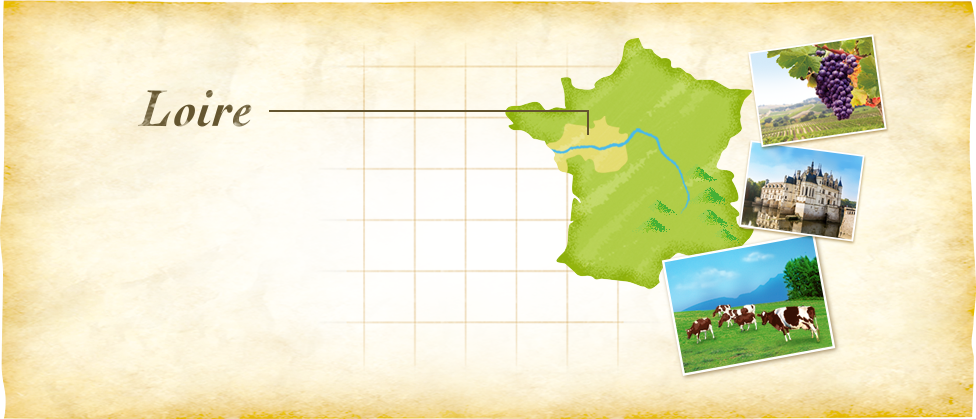 Loire 地図